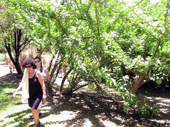 28 - Jardin des eaux 036.jpg